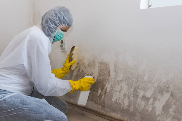 Best Crawl Space Mold Removal  in East Speer, NC