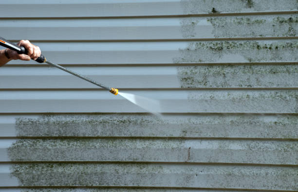 Mold Testing and Removal in East Spencer, NC