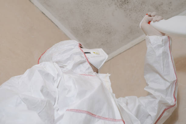 Certified Mold Removal in East Spencer, NC